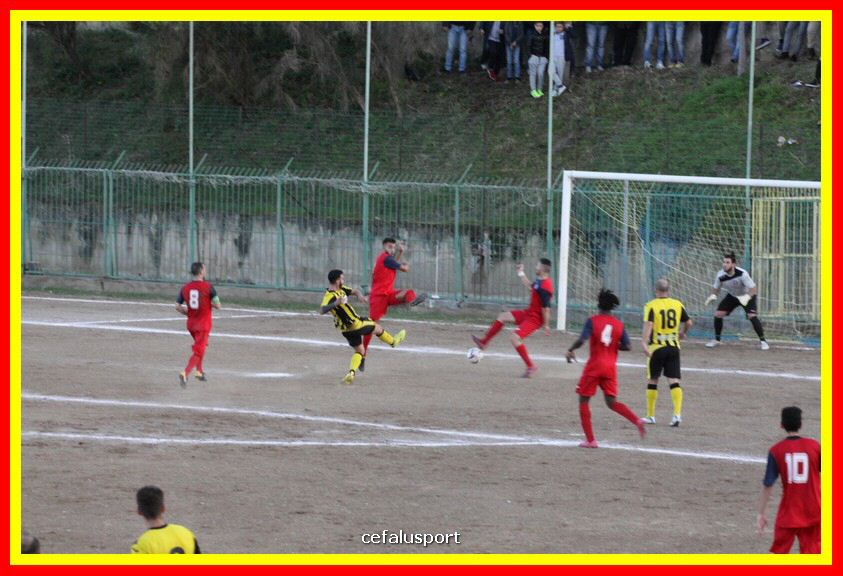 181111 Cepha_Milazzo 246_tn.JPG